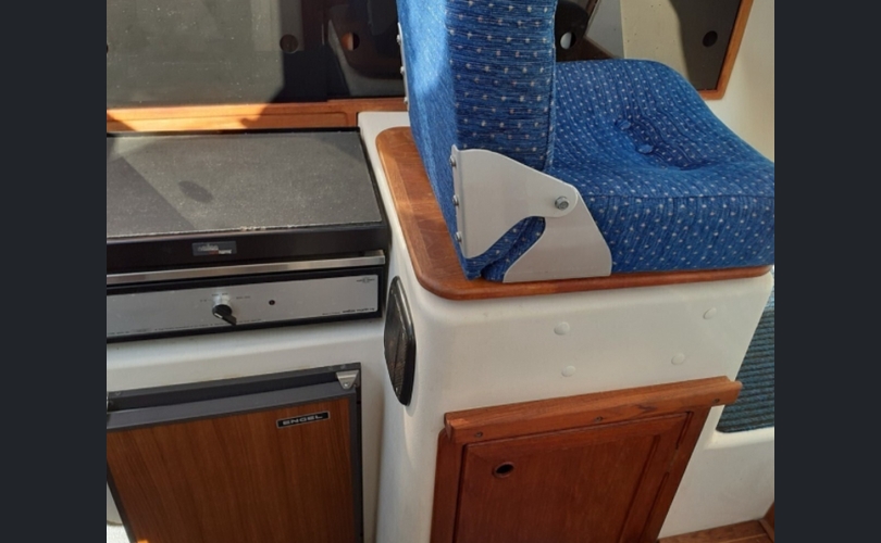 Bella Delphin-kuva-3